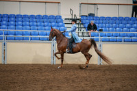 2020 - AB Morgan Horse - Sat, Sept 05 - 03321