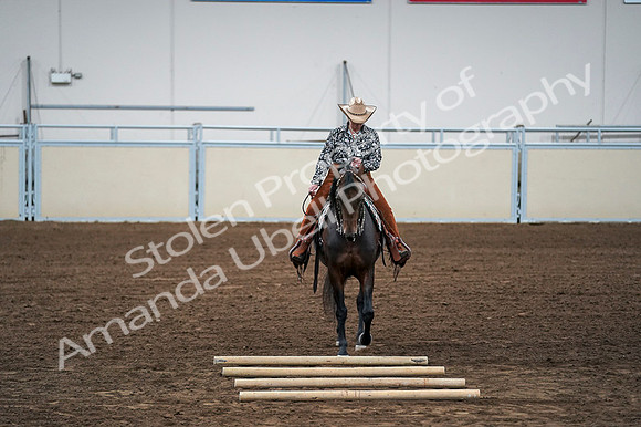 2020 - AB Morgan Horse - Fri, Sept 04 - 00430