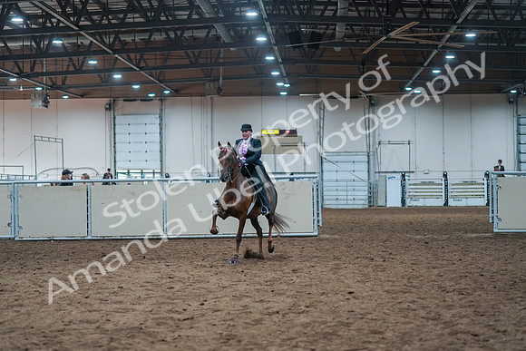 2021 - Alberta Charity Horse Show - Fri, July 09 - 14777