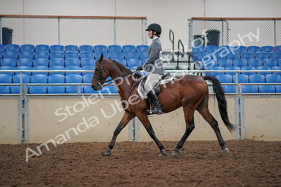 2019 Morgan Horse Show - Aug 30, 2019 - 23376