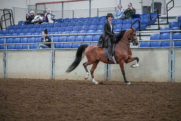 Spring Fling - Saturday - April 20, 2019  -  00755