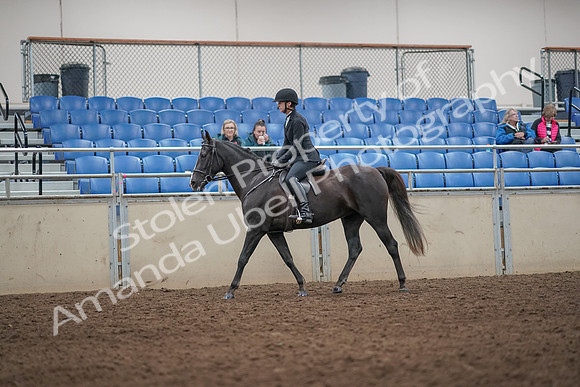 2019 Morgan Horse Show - Aug 31, 2019 - 07174