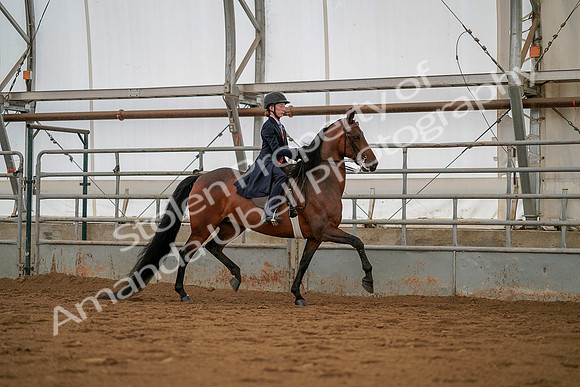July 19, 2019 - 4017