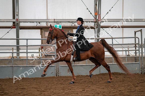 July 19, 2019 - 10315