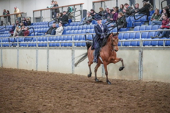 Spring Fling - Saturday - April 20, 2019  -  04477