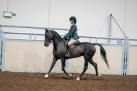2020 - AB Morgan Horse - Sat, Sept 05 - 09069