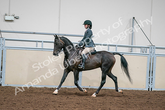 2020 - AB Morgan Horse - Sat, Sept 05 - 09069