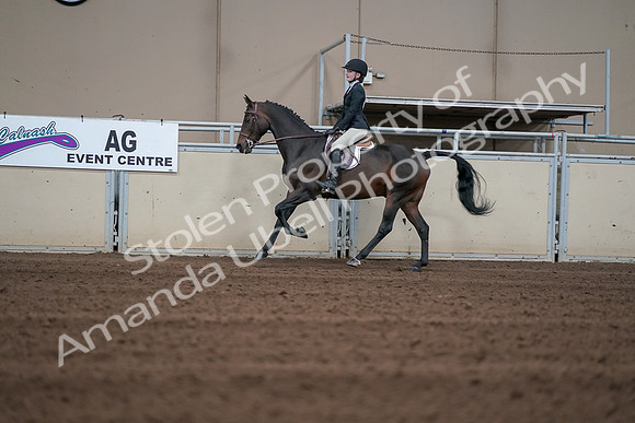 2019 Morgan Horse Show - Sept 01, 2019 - 03732