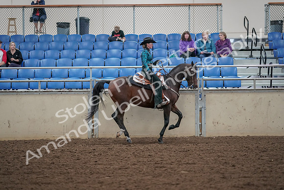 2019 Morgan Horse Show - Aug 30, 2019 - 26193