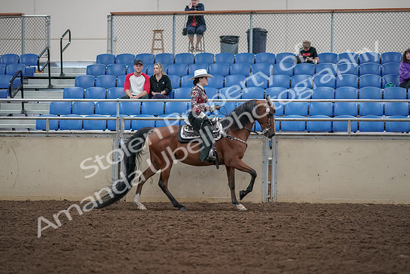 2019 Morgan Horse Show - Aug 30, 2019 - 26199