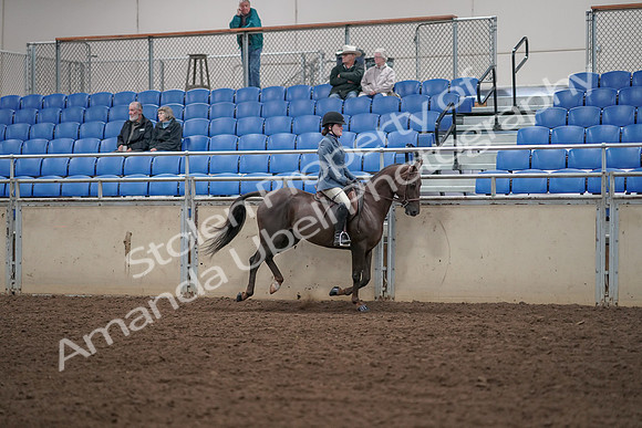 2019 Morgan Horse Show - Aug 31, 2019 - 07487