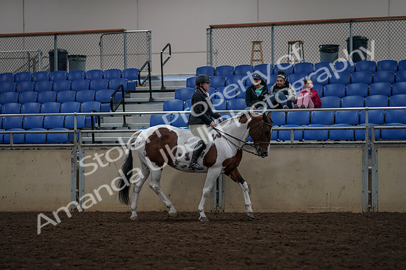 2019 Morgan Horse Show - Aug 30, 2019 - 31403