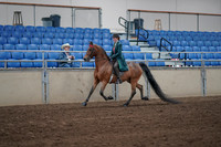 2019 Morgan Horse Show - Sept 01, 2019 - 13165