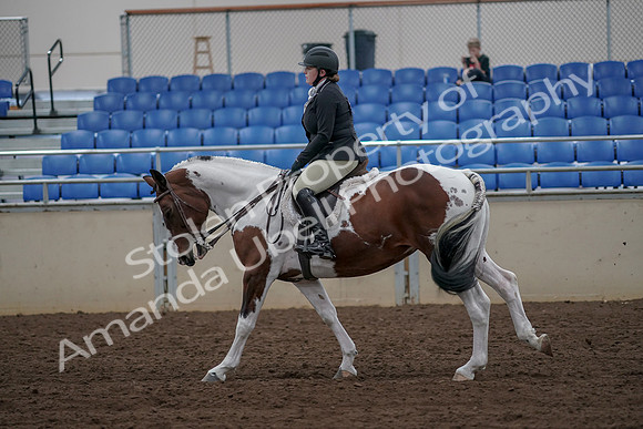 2019 Morgan Horse Show - Aug 30, 2019 - 14965