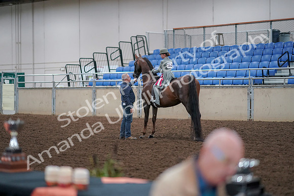 2019 Morgan Horse Show - Aug 30, 2019 - 18203