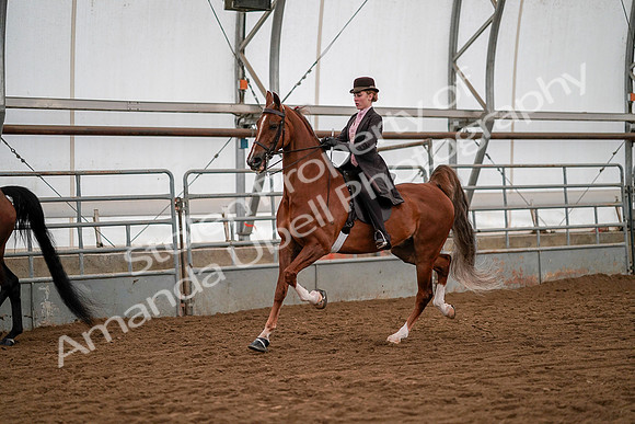 July 19, 2019 - 10500