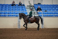 2020 - AB Morgan Horse - Fri, Sept 04 - 03952
