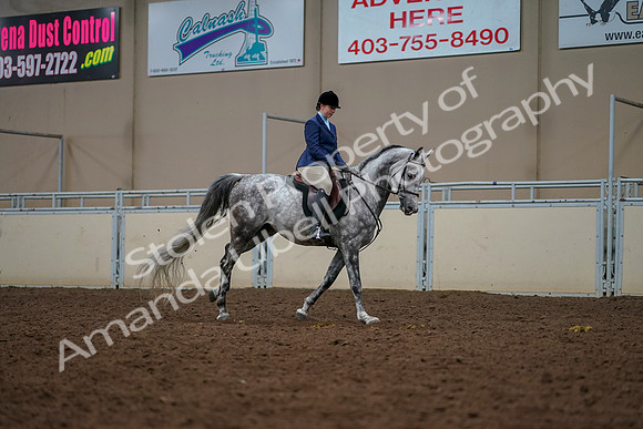 2019 Morgan Horse Show - Aug 30, 2019 - 22515