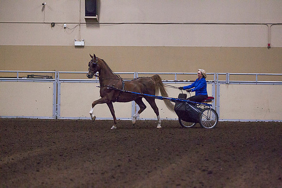 _P3A8135