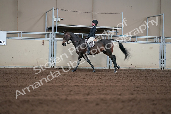 2019 Morgan Horse Show - Sept 01, 2019 - 03726