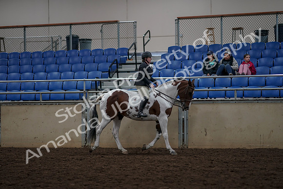 2019 Morgan Horse Show - Aug 30, 2019 - 31398