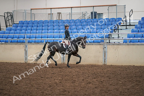 2019 Morgan Horse Show - Aug 30, 2019 - 12438