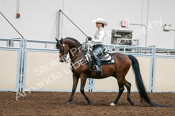2020 - AB Morgan Horse - Sat, Sept 05 - 08976