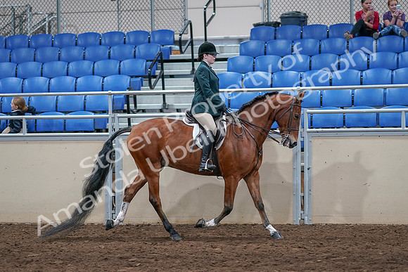 2020 - AB Morgan Horse - Sat, Sept 05 - 05188