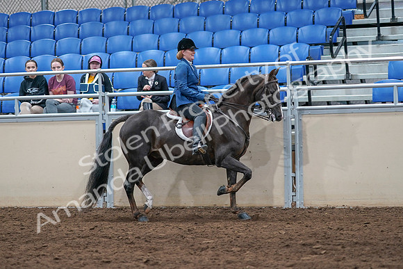 2020 - AB Morgan Horse - Sat, Sept 05 - 05214