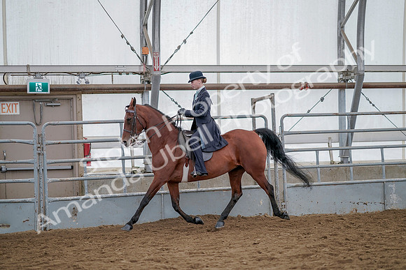 July 20, 2019 - 14553