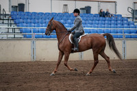 2019 Morgan Horse Show - Sept 01, 2019 - 12168