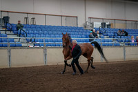 2019 Morgan Horse Show - Aug 31, 2019 - 00539