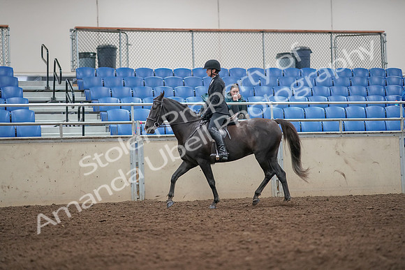 2019 Morgan Horse Show - Aug 31, 2019 - 07179