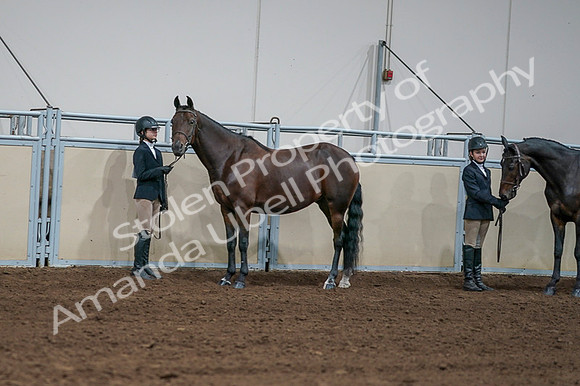 2020 - AB Morgan Horse - Fri, Sept 04 - 00854