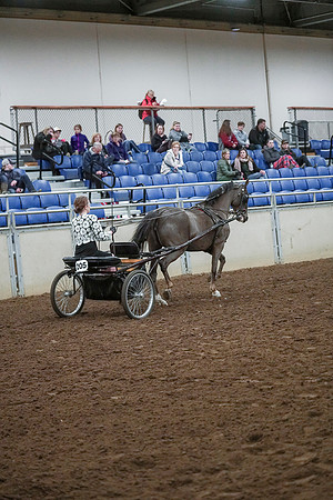 Spring Fling - Saturday - April 20, 2019  -  00251