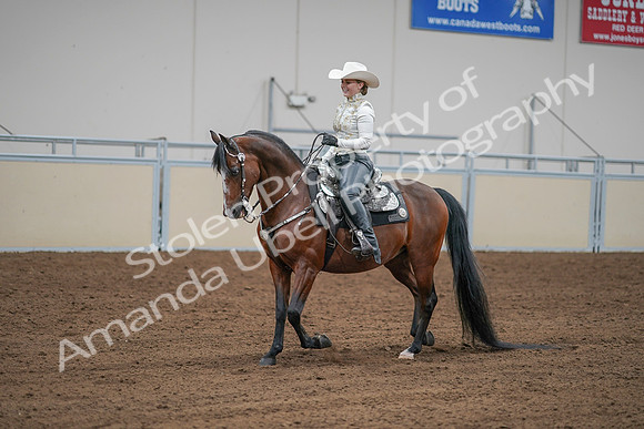 2020 - AB Morgan Horse - Sat, Sept 05 - 09041