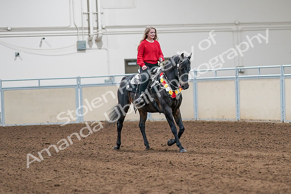 2020 - AB Morgan Horse - Sat, Sept 05 - 10489