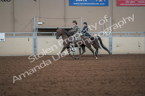 2019 Morgan Horse Show - Aug 30, 2019 - 15478