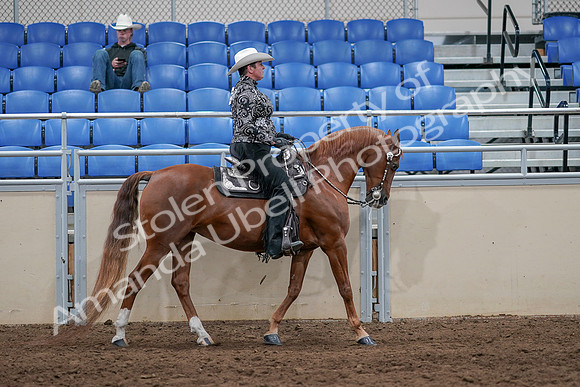 2020 - AB Morgan Horse - Sun, Sept 06 - 07555