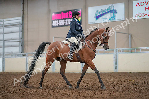 2019 Morgan Horse Show - Aug 30, 2019 - 22589