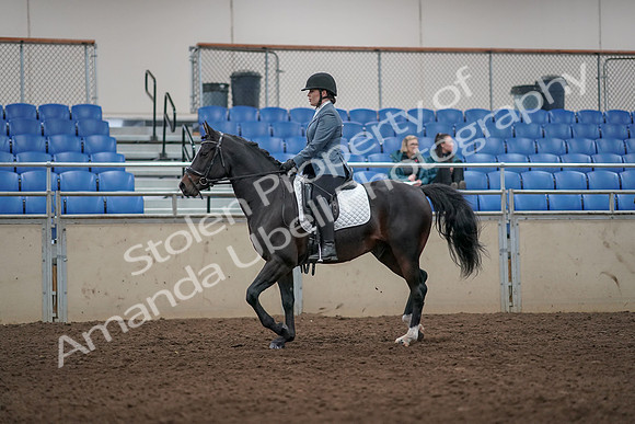 2019 Morgan Horse Show - Aug 31, 2019 - 07248