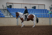 2019 Morgan Horse Show - Aug 30, 2019 - 14861