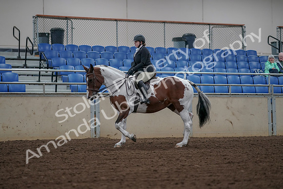 2019 Morgan Horse Show - Aug 30, 2019 - 14861