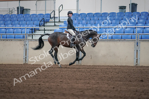 2019 Morgan Horse Show - Sept 01, 2019 - 03886