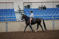 2019 Morgan Horse Show - Aug 30, 2019 - 31039