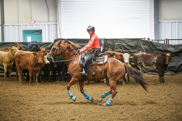 DSC03981