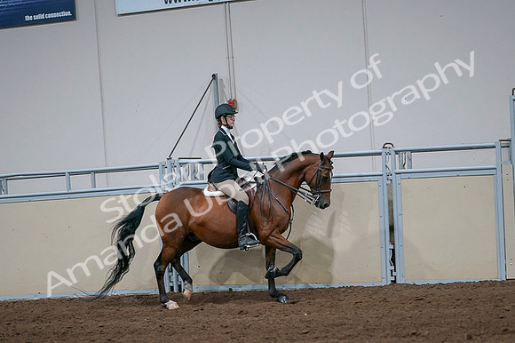 2020 - AB Morgan Horse - Fri, Sept 04 - 06008