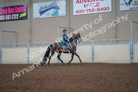 2019 Morgan Horse Show - Aug 30, 2019 - 17997