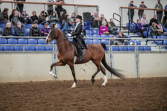 Spring Fling - Saturday - April 20, 2019  -  04398