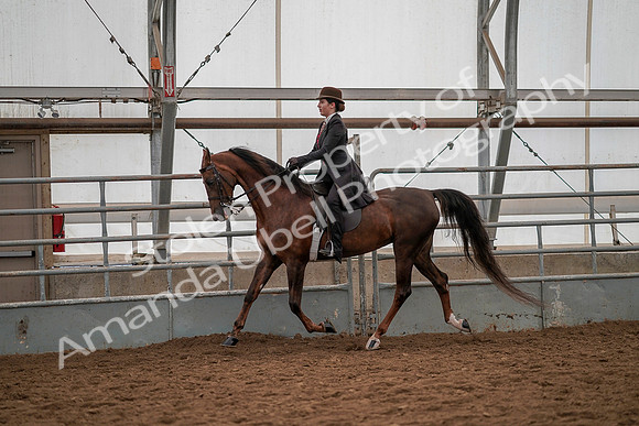 July 19, 2019 - 12799